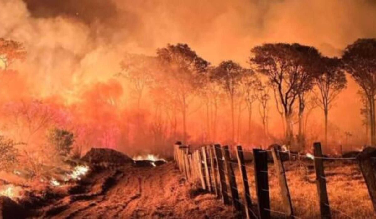 Com Pantanal em risco, Senado prorroga crédito de R$ 337,4 milhões para prevenção de incêndios
