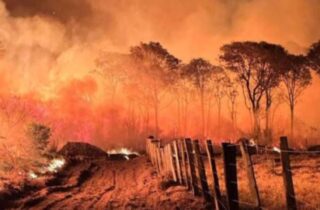 Com Pantanal em risco, Senado prorroga crédito de R$ 337,4 milhões para prevenção de incêndios