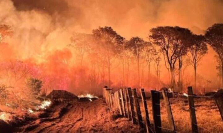 Com Pantanal em risco, Senado prorroga crédito de R$ 337,4 milhões para prevenção de incêndios