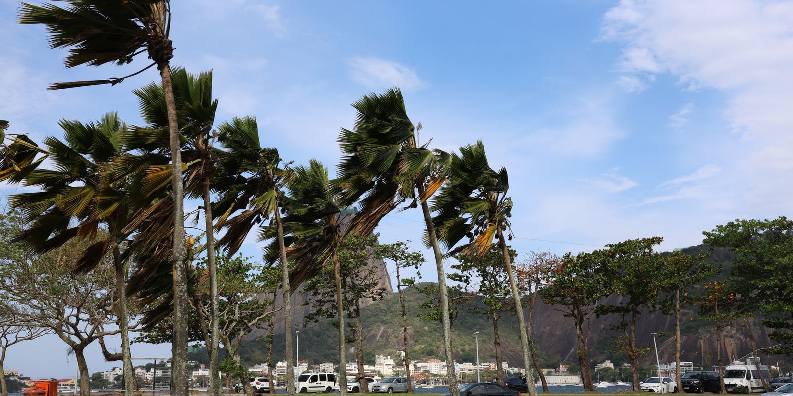 Defesa Civil emite alerta para ventos fortes e frente fria na cidade do Rio