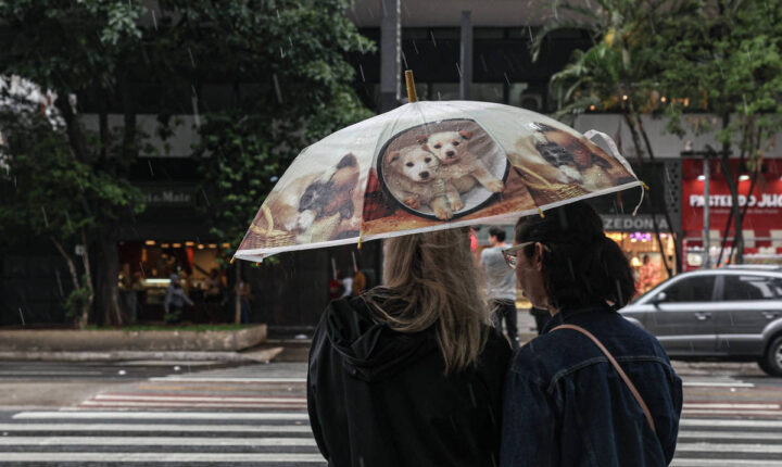 São Paulo deve ter garoa e temperatura variando de 13°C a 19°C nesta quinta (24)