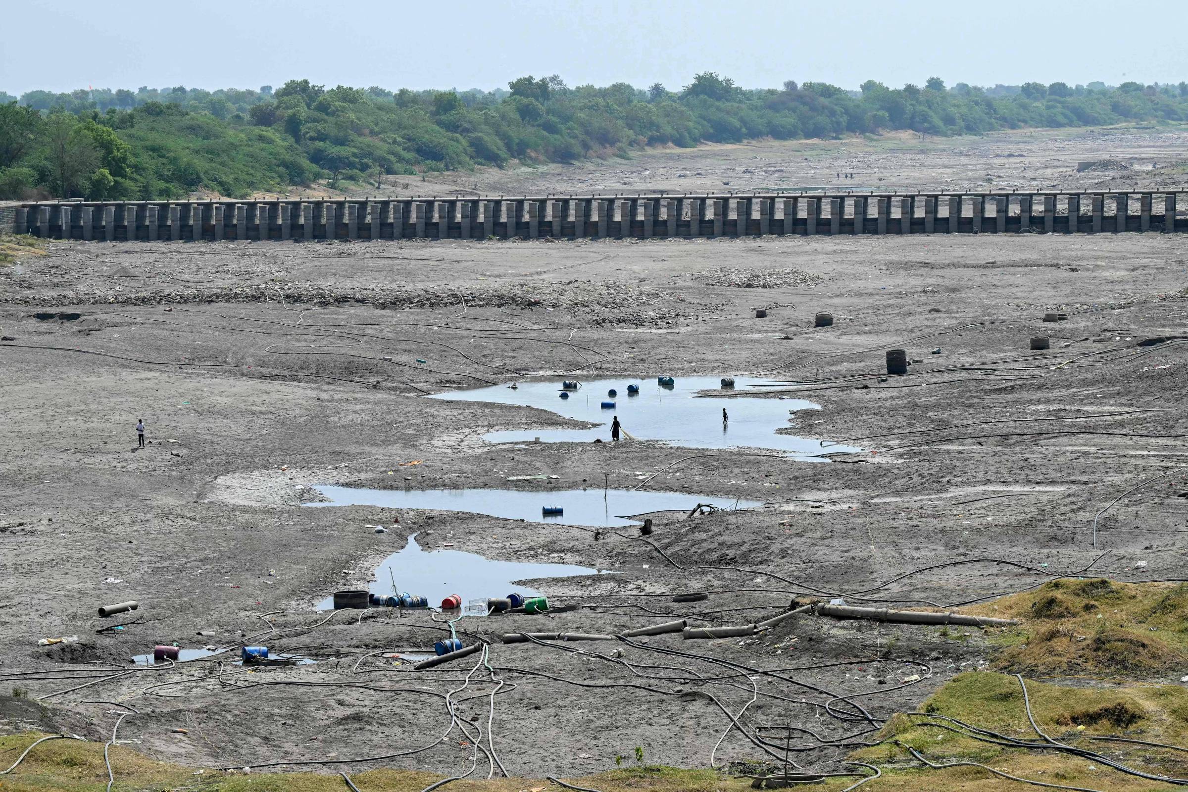 Seca extrema atinge três quartos de Maharashtra e ameaça agricultores na Índia