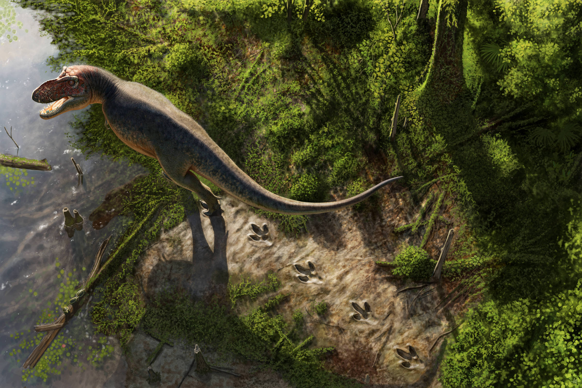 Pesquisadores descobrem primeira trilha de pegadas de um T. rex adulto com 66 milhões de anos