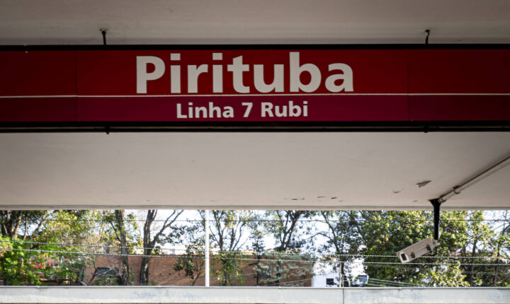 Trens da linha 7-rubi operam com lentidão neste domingo para remoção de árvore