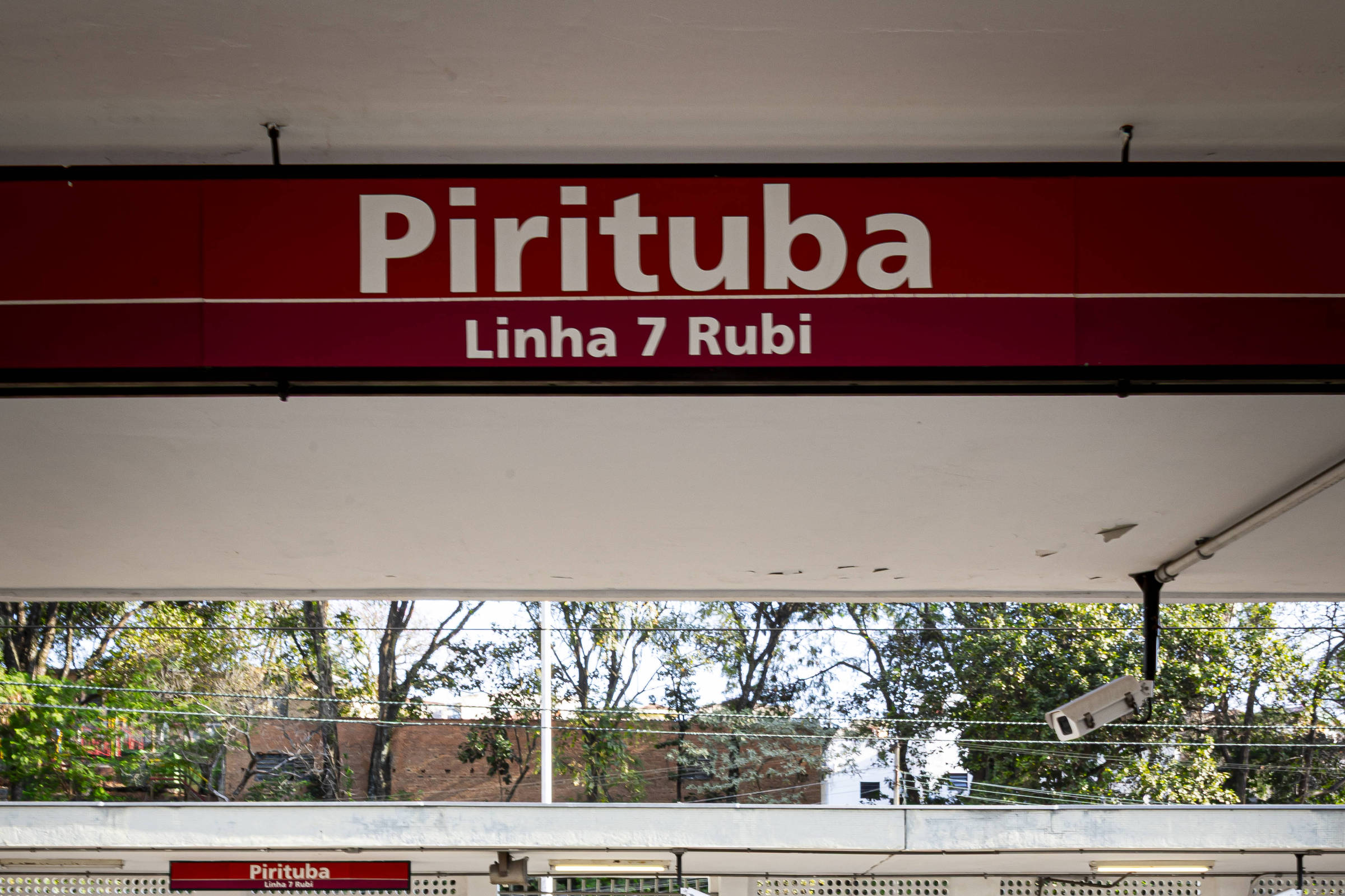 Trens da linha 7-rubi operam com lentidão neste domingo para remoção de árvore