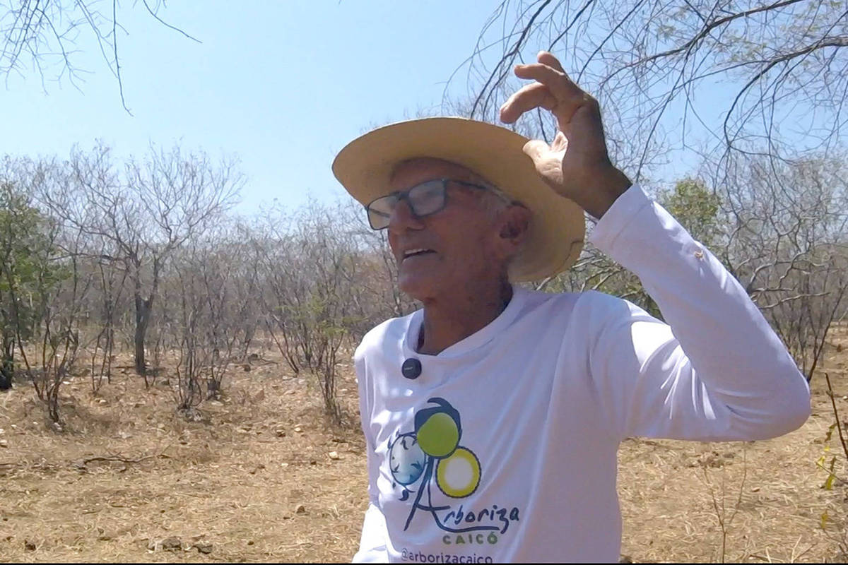 Sertanejo usa sabedoria popular baseada em plantas e animais para prever chuvas no RN