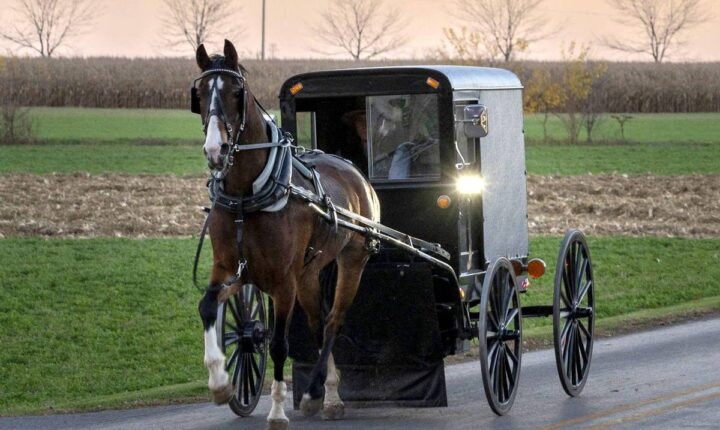 Como a hermética comunidade amish combate o surto de sarampo mais mortal da história recente dos EUA