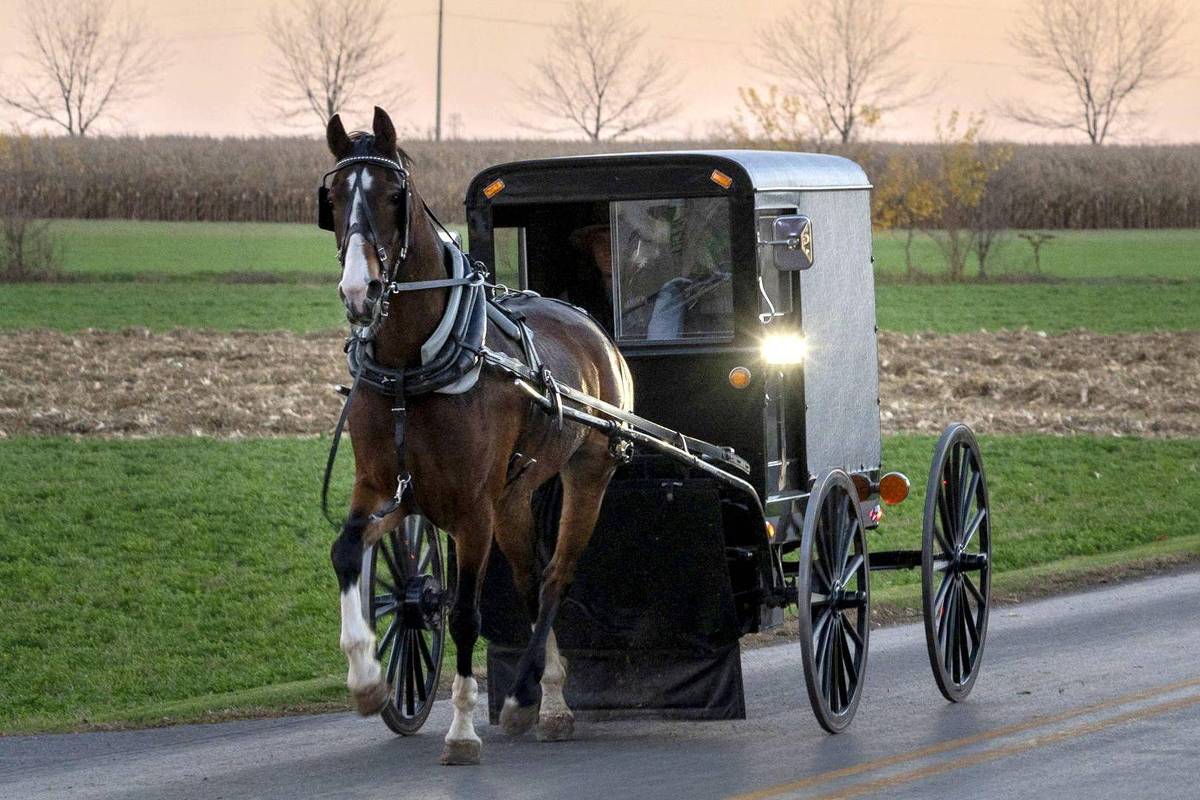Como a hermética comunidade amish combate o surto de sarampo mais mortal da história recente dos EUA