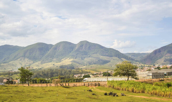 Australiana Lynas anuncia compra de dona de megaprojeto de terras raras em MG por R$ 3,5 bilhões