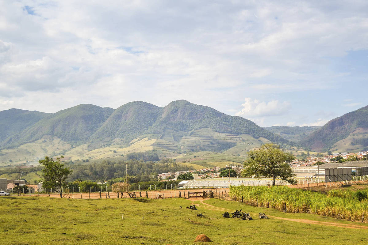 Australiana Lynas anuncia compra de dona de megaprojeto de terras raras em MG por R$ 3,5 bilhões