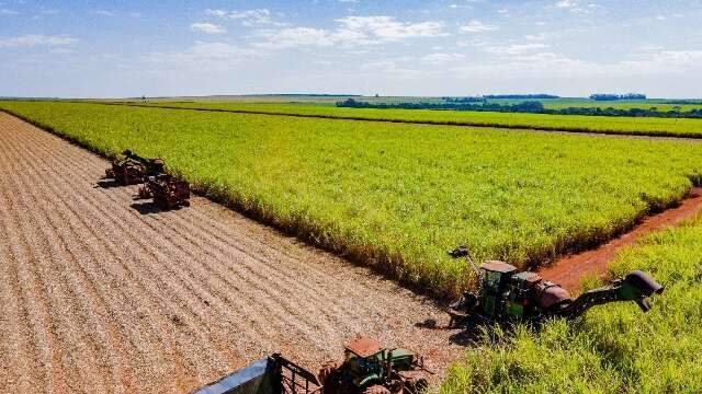 Corante verde no etanol pode exigir adequações nas usinas de MS e elevar custos