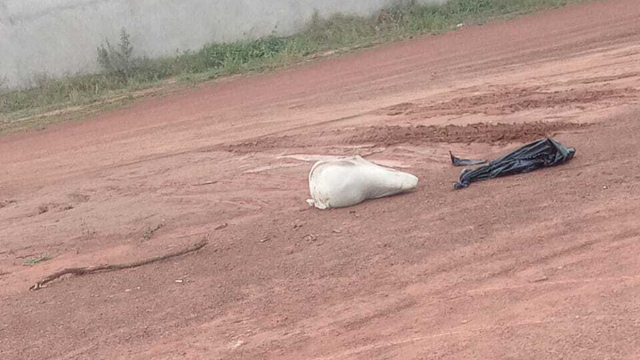 Quatro são presos por morte de jovem achado amarrado em saco de lixo em Coxim