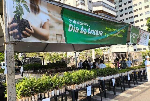 Prefeitura de Campo Grande distribui 10 mil mudas de árvores frutíferas neste sábado