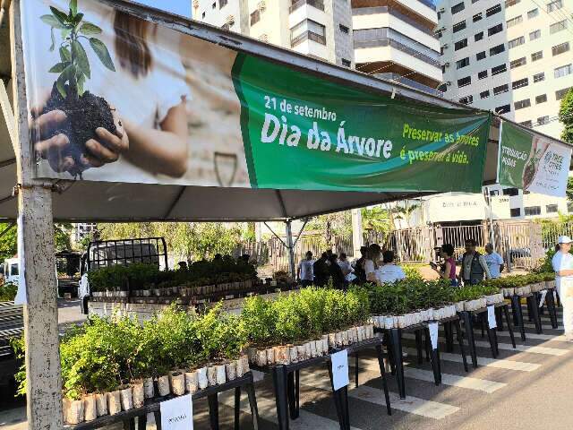 Prefeitura de Campo Grande distribui 10 mil mudas de árvores frutíferas neste sábado