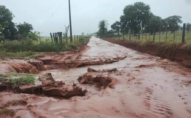 Agro e celulose puxam demanda por ônibus adaptados a estradas rurais em MS