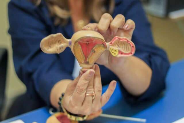 Planos de saúde terão de cobrir DIU hormonal para tratar endometriose a partir de outubro