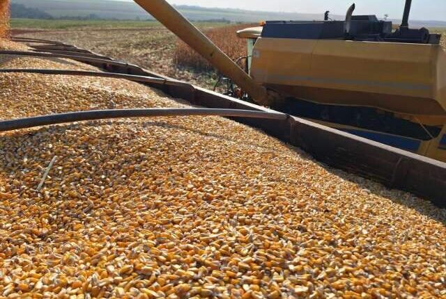 MS deve colher 2,1 milhões de toneladas a mais em um ano