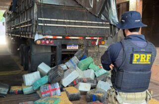 Carga de milho esconde 5,2 toneladas de maconha em rodotrem no interior de MS