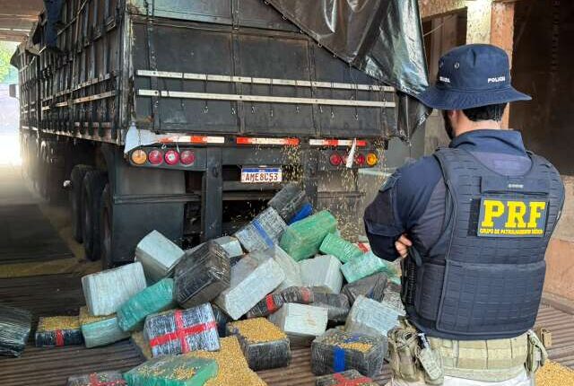 Carga de milho esconde 5,2 toneladas de maconha em rodotrem no interior de MS