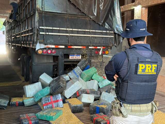 Carga de milho esconde 5,2 toneladas de maconha em rodotrem no interior de MS