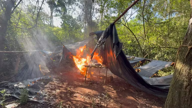 Três acampamentos são queimados com 1,8 tonelada de maconha na fronteira