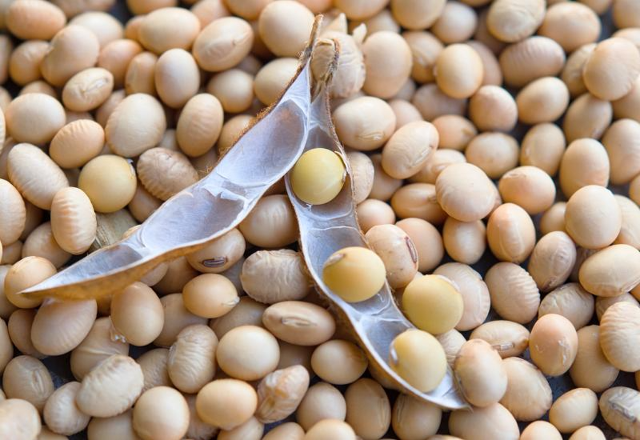 MS já vendeu 90% da soja cultivada e preço da saca avança 15%