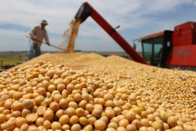 MS é 5º na produção de soja do Brasil e Maracaju retoma liderança estadual