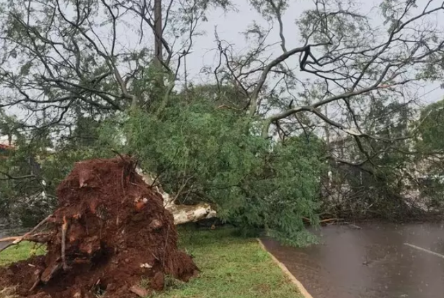 Cidade de MS entra na lista das recordistas em tornados no Brasil