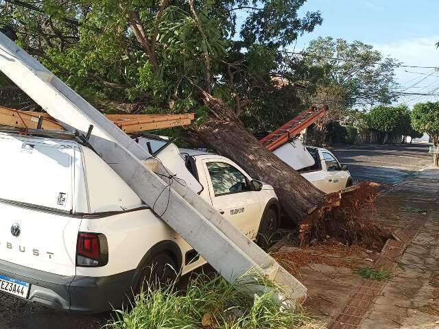 MS terá três dias de alerta para tempestades e ventos podem chegar a 100 km/h