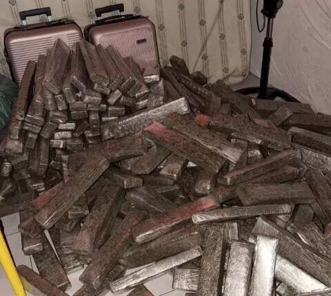 Casa é usada como depósito e polícia apreende 1,6 tonelada de maconha em Campo Grande