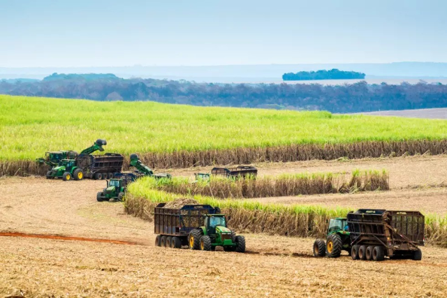 MS cresce na produção de cana e coloca Nova Alvorada do Sul no 2º lugar nacional