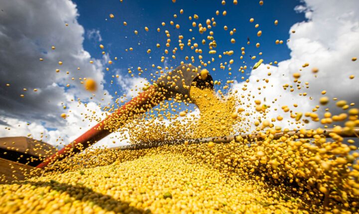 Produção agrícola brasileira superou R$ 927 bilhões em 2025 impulsionada por recordes