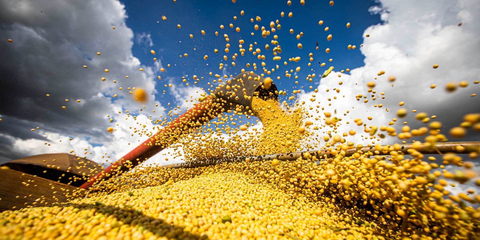 Produção agrícola brasileira superou R$ 927 bilhões em 2025 impulsionada por recordes