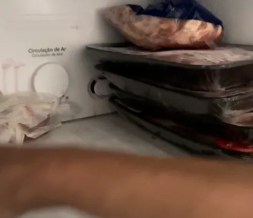 Sem energia, até quando alimentos na geladeira podem ser consumidos?