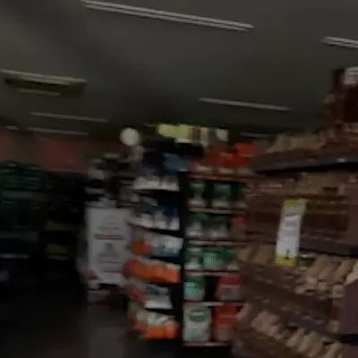 No 2º dia sem energia, pet shop na Via Parque estima prejuízo de R$ 90 mil após temporal