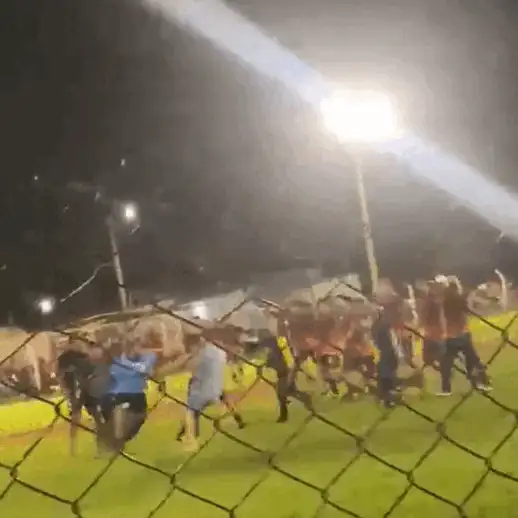 Final de futebol amador termina em pancadaria entre árbitro, jogadores e torcida