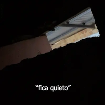 Morador grava vizinho agredindo cachorro no bairro Aero Rancho, em Campo Grande