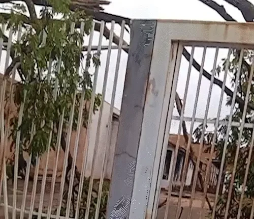 Árvore sobre fios faz moradora deixar casa após temporal em Campo Grande