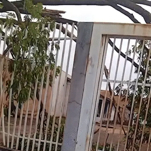 Árvore sobre fios faz moradora deixar casa após temporal em Campo Grande