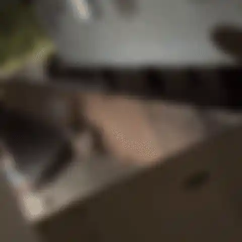 Cachorro é espancado a pauladas e resgatado com lesão grave no olho em Campo Grande