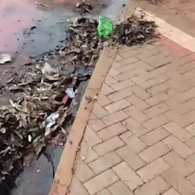 Falta de rampa em nova ciclofaixa no Parque dos Novos Estados revolta condutora