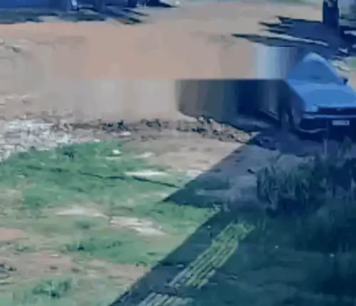 Câmera flagra homem sendo morto a facada pelo colega de trabalho em Campo Grande