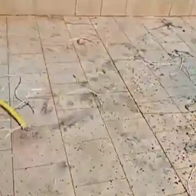 Dois anos após reforma, imóvel ao lado do antigo Centro Pop volta a ter prejuízos em Campo Grande