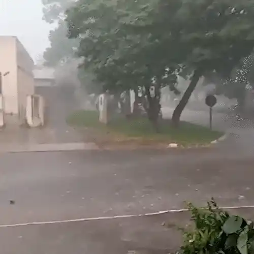Em 15 minutos, temporal destelha casas e derruba árvores em Iguatemi