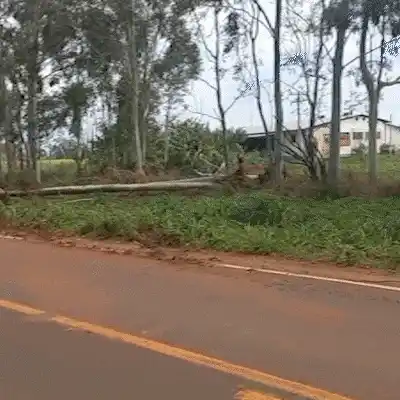 Após onda de calor, MS registra chuva e rajadas de vento de 106,9 km/h