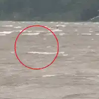 Vendaval vira barco com 3 pessoas durante pescaria no Rio Paraguai