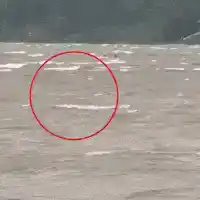 Com filho, homem salva 3 pessoas após barco virar durante vendaval no Paraguai