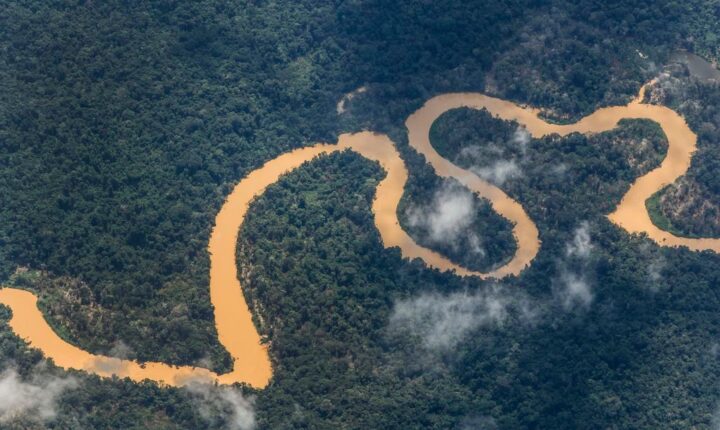 Temperatura máxima na estação seca já aumentou 3°C em área da Amazônia