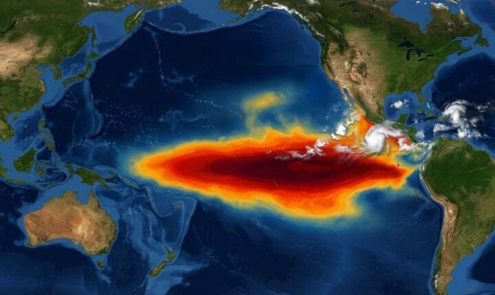 El Niño pode afetar oferta e cotações de soja, diz economista