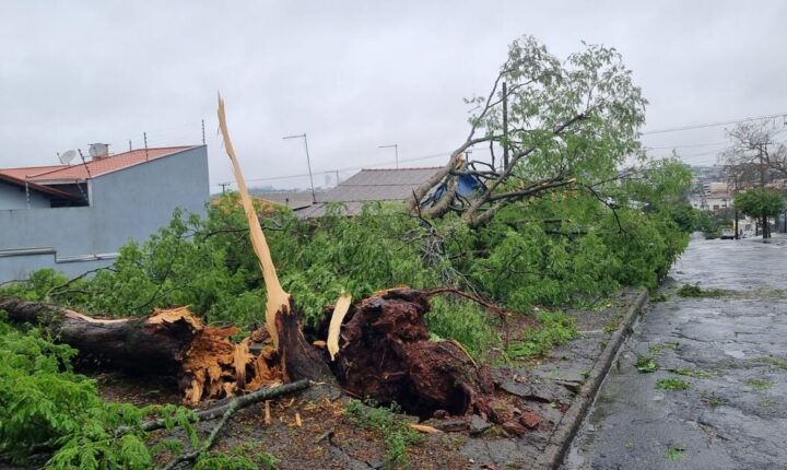 O que é downburst? Fenômeno pode ter causado estragos em Apucarana, aponta Simepar